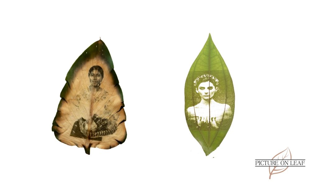 Chlorophyll Prints vs. Laser Prints on Leaf
