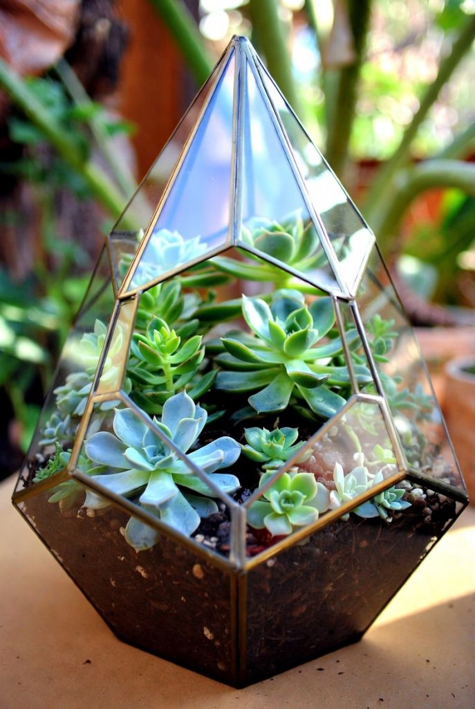 Geometric glass succulent terrarium with lush green and blue succulents in a modern workspace, perfect nature-inspired desk decoration for 2026.